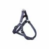 FLAMINGO Harnais Step & Go Ziggi Blue Granit 20-35cm 10mm -Equipement antichute Soldes 10197812 1