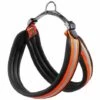 Ferplast AGILA REFLEX 5-9 Harnais Ergonomique Haute Visibilité Pour Chiens Avec Fermeture à Micro-réglage. Différentes Couleurs Et Tailles. . Variante 6 - Mesures: A=B 57-65 Cm 25 Mm - Orange - Orange -Equipement antichute Soldes 12573908 1
