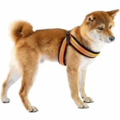 Ferplast AGILA REFLEX 5-9 Harnais Ergonomique Haute Visibilité Pour Chiens Avec Fermeture à Micro-réglage. Différentes Couleurs Et Tailles. . Variante 6 - Mesures: A=B 57-65 Cm 25 Mm - Orange - Orange -Equipement antichute Soldes 12573908 3