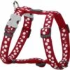 Harnais Chien Red Dingo Fantaisie Rouge à Pois Blancs Taille : T1 - Rouge Pois Blancs -Equipement antichute Soldes 13424541 1