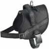 BOBBY Harnais Easy Safe Noir Taille : XXS - Noir