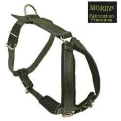 Harnais De Motivation "Luxe" Pour Chien Désignation : Harnais Noir | Taille : T2 | Tour De Ventre - Mini / Maxi : Harnais Noir | Pour Chien De Type : T2 MORIN 193061