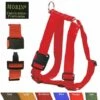 Harnais Réglables Pour Chiens, Boucle Rapide Extra Robuste Désignation : Harnais Réglables. Boucle Rapide Extra Robuste | Couleur : Rouge | Tour De Ventre - Maxi / Mini : Harnais Réglables. Boucle Rapide Extra Robuste | Largeur De Sangle : Rouge MORIN 191 -Equipement antichute Soldes 15886906 1