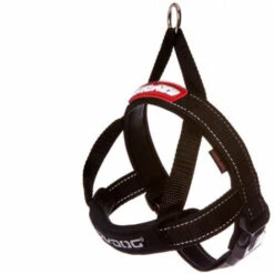 Harnais Norvégien Ezydog Quick Fit Pour Chien T4 Noir