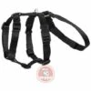 Harnais TRIPLE ARPPE Pour Les Galgos Et Podencos -Equipement antichute Soldes 26608528 1
