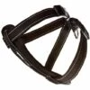 CHADOG Harnais Ezydog Chest Plate M Noir 45-73cm 25mm -Equipement antichute Soldes 28046063 1