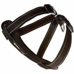 CHADOG Harnais Ezydog Chest Plate M Noir 45-73cm 25mm