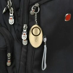 LITZEE Alarme Personnelle, Personnel Alarme, Alarme 140db Emergency Self Defense Security With LED Light For Women Girls Elderly Safety, Purple (Batteries Inclus) (d'or) -Equipement antichute Soldes 32755202 5