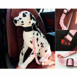 DONTODENT 2 Pièces De Ceinture De Sécurité De Voiture Chat Chien Réglable Ceinture De Sécurité Harnais De Ceinture De Sécurité De Voiture F -Equipement antichute Soldes 34977496 3