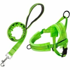 THSINDE Ceinture De Sécurité Et Ceinture De Traction Sans Traction Pour Petits Chiens, Ceinture De Sécurité Pour Gilet De Marche De Premier Plan, Ceinture De Sécurité Pour Chiot Réglable Et Réfléchissante, Traction Anti-torsion Pour Animaux De Compagnie, Convient