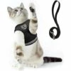 THSINDE Ensemble écharpe Et Laisse Pour Chat, Adapté Pour Promener Les Chats Et Les Chiens. Écharpe En Maille Douce. Gilet Chat Ajustable. Ceinture Réfléchissante. Co.confortable. Convient Aux Animaux Domestiques, Chatons, Chiens Et Lapins.