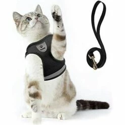 THSINDE Ensemble écharpe Et Laisse Pour Chat, Adapté Pour Promener Les Chats Et Les Chiens. Écharpe En Maille Douce. Gilet Chat Ajustable. Ceinture Réfléchissante. Co.confortable. Convient Aux Animaux Domestiques, Chatons, Chiens Et Lapins.