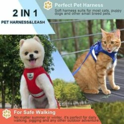 THSINDE Ensemble écharpe Et Laisse Pour Chat, Adapté Pour Promener Les Chats Et Les Chiens. Écharpe En Maille Douce. Gilet Chat Ajustable. Ceinture Réfléchissante. Co.confortable. Convient Aux Animaux Domestiques, Chatons, Chiens Et Lapins. -Equipement antichute Soldes 35099884 4