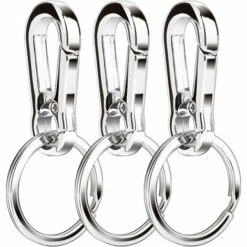 BEARSU Clip Mousqueton En Métal Porte-clés Porte-clés Porte-clés Organisateur De Support De Chaîne Pour Voiture/chercheur De Clés, Paquet De 3