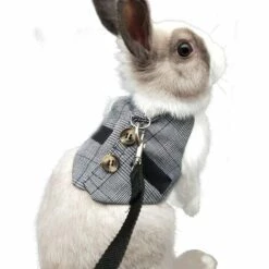 TRIOMPHE Harnais De Costume Ajustable De Lapin, Harnais Pour Petit Animal Et Jeu De Laisse ， Pour Petits Animaux Lapin Hamsters Chats （Gris L）