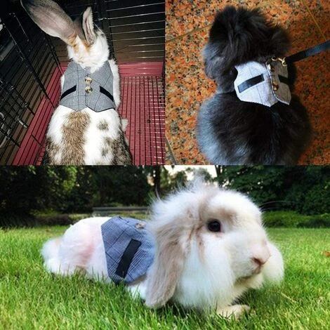 ELLE Lapin Harnais Et Laisse Mis Gilet De Lapin De Style Gentilhomme Avec Bouton De Décoration Harnais Doux Réglable Petit Animal Pour La Marche Jogging(M) 5 ELLE Lapin Harnais Et Laisse Mis Gilet De Lapin De Style Gentilhomme Avec Bouton De Décoration Harnais Doux Réglable Petit Animal Pour La Marche Jogging(M) – Image 3