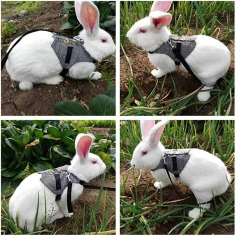 ELLE Lapin Harnais Et Laisse Mis Gilet De Lapin De Style Gentilhomme Avec Bouton De Décoration Harnais Doux Réglable Petit Animal Pour La Marche Jogging(M) 6 ELLE Lapin Harnais Et Laisse Mis Gilet De Lapin De Style Gentilhomme Avec Bouton De Décoration Harnais Doux Réglable Petit Animal Pour La Marche Jogging(M) – Image 4