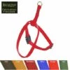 Collerette Pour Chien Et Chat En Nylon, Réglable, Boucle Rapide. Désignation : Collerette Nylon | Couleur : Rouge | Tour De Ventre - Mini / Maxi : Collerette Nylon | Largeur De Sangle : Rouge MORIN 573000 -Equipement antichute Soldes 48704467 1