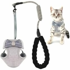 ECHOO Ensemble Harnais Et Laisse Pour Chat Anti-évasion, Bande De Gilet Réglable Pour Chatons Doux, Harnais De Gilet En Maille Respirante