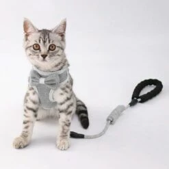 ECHOO Ensemble Harnais Et Laisse Pour Chat Anti-évasion, Bande De Gilet Réglable Pour Chatons Doux, Harnais De Gilet En Maille Respirante -Equipement antichute Soldes 49193367 4