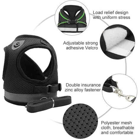 ECHOO Harnais Pour Chat, Ensemble Harnais Et Laisse Pour Chat, Ensemble Laisse Et Harnais Pour Chat, Harnais Pour Chat Et Ensemble Laisse Escape Proof 5 ECHOO Harnais Pour Chat, Ensemble Harnais Et Laisse Pour Chat, Ensemble Laisse Et Harnais Pour Chat, Harnais Pour Chat Et Ensemble Laisse Escape Proof – Image 3