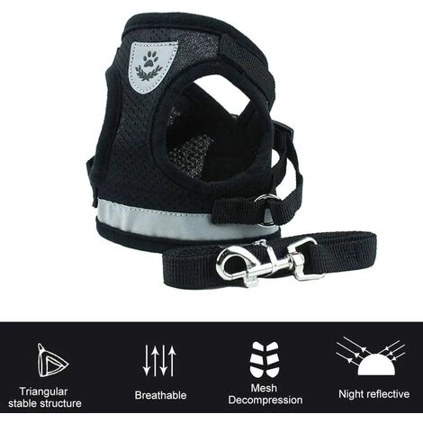 ECHOO Harnais Pour Chat, Ensemble Harnais Et Laisse Pour Chat, Ensemble Laisse Et Harnais Pour Chat, Harnais Pour Chat Et Ensemble Laisse Escape Proof 6 ECHOO Harnais Pour Chat, Ensemble Harnais Et Laisse Pour Chat, Ensemble Laisse Et Harnais Pour Chat, Harnais Pour Chat Et Ensemble Laisse Escape Proof – Image 4