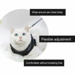 ECHOO Harnais Pour Chat, Ensemble Harnais Et Laisse Pour Chat, Ensemble Laisse Et Harnais Pour Chat, Harnais Pour Chat Et Ensemble Laisse Escape Proof 11 ECHOO Harnais Pour Chat, Ensemble Harnais Et Laisse Pour Chat, Ensemble Laisse Et Harnais Pour Chat, Harnais Pour Chat Et Ensemble Laisse Escape Proof -Equipement antichute Soldes 49196091 5