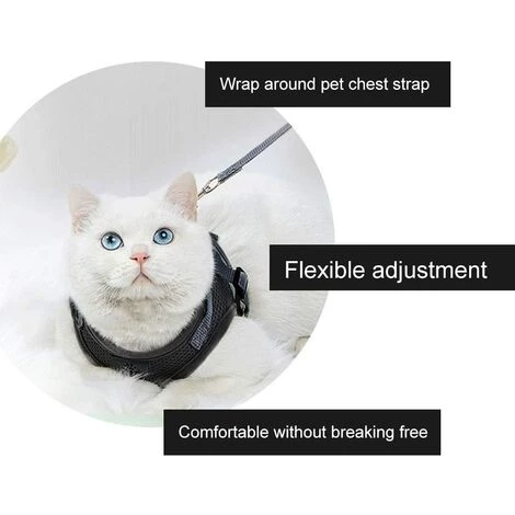 ECHOO Harnais Pour Chat, Ensemble Harnais Et Laisse Pour Chat, Ensemble Laisse Et Harnais Pour Chat, Harnais Pour Chat Et Ensemble Laisse Escape Proof 7 ECHOO Harnais Pour Chat, Ensemble Harnais Et Laisse Pour Chat, Ensemble Laisse Et Harnais Pour Chat, Harnais Pour Chat Et Ensemble Laisse Escape Proof – Image 5