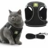 ECHOO Harnais De Chat Et Laisse Avec Laisse Pour Chaton : Ensemble De Gilet Réglable Anti-évasion Pour Chats Compatible Avec Les Chiots De Petit Chien 1 ECHOO Harnais De Chat Et Laisse Avec Laisse Pour Chaton : Ensemble De Gilet Réglable Anti-évasion Pour Chats Compatible Avec Les Chiots De Petit Chien -Equipement antichute Soldes 49196175 1