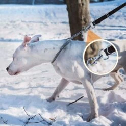 VERSAILLESFR Lot De 36 Porte-clés En Métal – Mousquetons Pivotants, Anneau En D Et Boucle Coulissante Pour Sac à Main, Fermoir, Sangle, Sac à Dos, Accessoires De Bricolage, 2,5 Cm, Argenté, Versailles -Equipement antichute Soldes 50932636 4