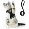ZHUOXUAN Ensemble écharpe Et Laisse Pour Chat, Adapté Pour Promener Les Chats Et Les Chiens. Écharpe En Maille Douce. Gilet Chat Ajustable. Ceinture Réfléchissante. Co.confortable. Convient Aux Animaux De Compagnie, Chatons, Chiens Et Lapins