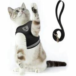 ZHUOXUAN Ensemble écharpe Et Laisse Pour Chat, Adapté Pour Promener Les Chats Et Les Chiens. Écharpe En Maille Douce. Gilet Chat Ajustable. Ceinture Réfléchissante. Co.confortable. Convient Aux Animaux De Compagnie, Chatons, Chiens Et Lapins