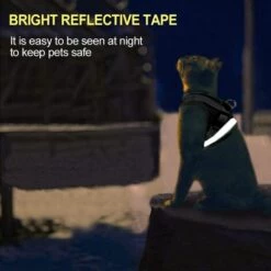 ZHUOXUAN Ensemble écharpe Et Laisse Pour Chat, Adapté Pour Promener Les Chats Et Les Chiens. Écharpe En Maille Douce. Gilet Chat Ajustable. Ceinture Réfléchissante. Co.confortable. Convient Aux Animaux De Compagnie, Chatons, Chiens Et Lapins -Equipement antichute Soldes 51452585 3