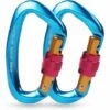 CADEAU 2 Mousquetons De Verrouillage Mousquetons Escalade 25 KN Robustes Avec Fermeture à Vis Pour Escalade Forme De D Pour Escalade En Plein Air Camping Hamacs Laisse Pour Chien -Equipement antichute Soldes 52586329 1
