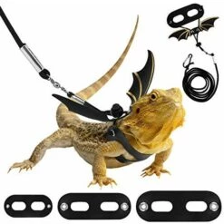 THSINDE Harnais Et Laisse De Dragon Barbu Réglables, 3 Tailles En Cuir, Laisse De Harnais D'extérieur Avec Ailes De Chauve-souris Pour Lézard, Reptiles, Amphibiens, Petit Animal De Compagnie