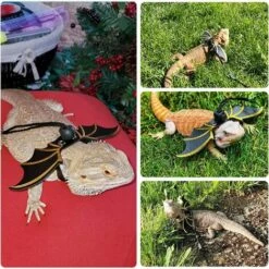 THSINDE Harnais Et Laisse De Dragon Barbu Réglables, 3 Tailles En Cuir, Laisse De Harnais D'extérieur Avec Ailes De Chauve-souris Pour Lézard, Reptiles, Amphibiens, Petit Animal De Compagnie -Equipement antichute Soldes 53653669 4
