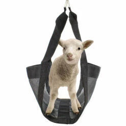 DIYOZZY Harnais De Pesage Harnais Réglable Pour Animaux Harnais Pour Agneaux 50 * 31 Cm -Equipement antichute Soldes 55293934 3