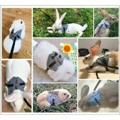ILOVEMILAN Harnais De Costume Ajustable De Lapin, Harnais Pour Petit Animal Et Jeu De Laisse ， Pour Petits Animaux Lapin Hamsters Chats （Gris L） -Equipement antichute Soldes 57019362 5