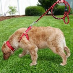 LONGZIMING 3.5 '' Double Extrémité Boulon Snaps Ensemble De Crochets INOX 316 Acier Inoxydable Nickel Plaqué Zinc Alloy Clips De Plongée Sous-Marine Pour Agriculture Équine Utilisation Garage -Equipement antichute Soldes 57057781 5