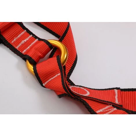 ZHUOXUAN Harnais D'escalade Pour Enfant Pour Alpinisme, Escalade, Rappel 4 ZHUOXUAN Harnais D'escalade Pour Enfant Pour Alpinisme, Escalade, Rappel – Image 2