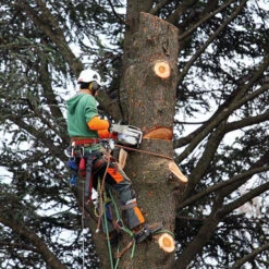 EPI - MATISERE Sangle D'ancrage - Fausse Fourche Pour élagueur - 1,20 M - FA6003712 -Equipement antichute Soldes 58173229 4