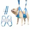 ENLENK Hamac Toilettage Pour Chiens Et Chats, Harnais De Coupe D’Ongles Toilettage De Table, Convient Aux Chats Et Aux Chiens De Petite Et Moyenne Taille.Blue(S) -Equipement antichute Soldes 58844096 1