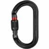 Mousqueton Symétrique à Verrouillage OK Screw-Lock - Petzl - Noir 1 Mousqueton Symétrique à Verrouillage OK Screw-Lock - Petzl - Noir -Equipement antichute Soldes 59358097 1
