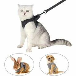 DENUOTOP Harnais Harnais Pour Chat - Ensemble De Harnais Et Laisse Chat Ultra-Léger Harnais Chaton Réglable Anti-Fuite Pour Chiot Lapin Furet Gris M 11 DENUOTOP Harnais Harnais Pour Chat - Ensemble De Harnais Et Laisse Chat Ultra-Léger Harnais Chaton Réglable Anti-Fuite Pour Chiot Lapin Furet Gris M -Equipement antichute Soldes 60004445 5
