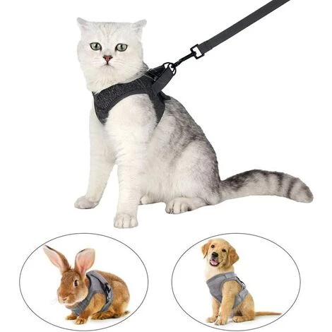 DENUOTOP Harnais Harnais Pour Chat - Ensemble De Harnais Et Laisse Chat Ultra-Léger Harnais Chaton Réglable Anti-Fuite Pour Chiot Lapin Furet Gris M 7 DENUOTOP Harnais Harnais Pour Chat - Ensemble De Harnais Et Laisse Chat Ultra-Léger Harnais Chaton Réglable Anti-Fuite Pour Chiot Lapin Furet Gris M – Image 5