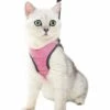 DENUOTOP Harnais Harnais Pour Chat - Ensemble De Harnais Et Laisse Chat Ultra-Léger Harnais Chaton Réglable Anti-Fuite Pour Chiot Lapin Furet（Rose，M） -Equipement antichute Soldes 60004976 1