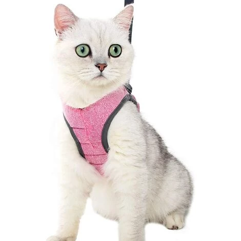 DENUOTOP Harnais Harnais Pour Chat - Ensemble De Harnais Et Laisse Chat Ultra-Léger Harnais Chaton Réglable Anti-Fuite Pour Chiot Lapin Furet(Rose,M) 3 DENUOTOP Harnais Harnais Pour Chat - Ensemble De Harnais Et Laisse Chat Ultra-Léger Harnais Chaton Réglable Anti-Fuite Pour Chiot Lapin Furet(Rose,M)