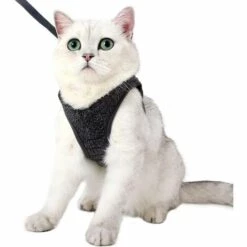 DENUOTOP Harnais Harnais Pour Chat - Ensemble De Harnais Et Laisse Chat Ultra-Léger Harnais Chaton Réglable Anti-Fuite Pour Chiot Lapin Furet(Gri,L)