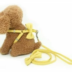 Harnais Double Couche Pour Chien, Ensemble De Collier Réglable, Doux Et Mignon, Avec Nœud, M-1.5cm FUIENKO -Equipement antichute Soldes 60418491 4