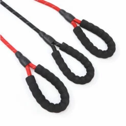 ZOLGINAH Longe Pour Chien, 150cm, Laisse Chien 10m Avec Poignée Et Sac De Rangement Longue Corde Chien, Laisse Longue Caoutchoutée, Antidérapante Et Robuste Pour Petits à Grands Chiens -Equipement antichute Soldes 63586975 3